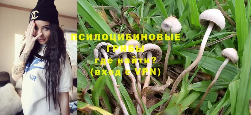 МЕГА онион  Мураши  Галлюциногенные грибы Magic Shrooms 